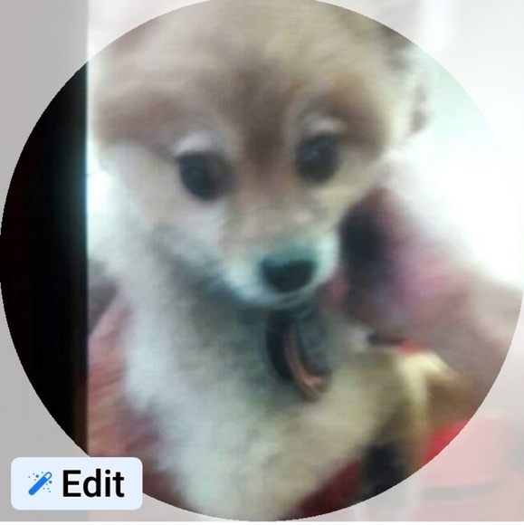 Meet your posher - Picture 4 of 6